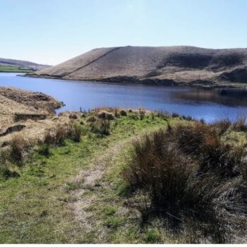 Scenic view of a tranquil reservoir surrounded by grassy hills under a clear blue sky in a rural landscape